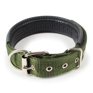 Dog Collar